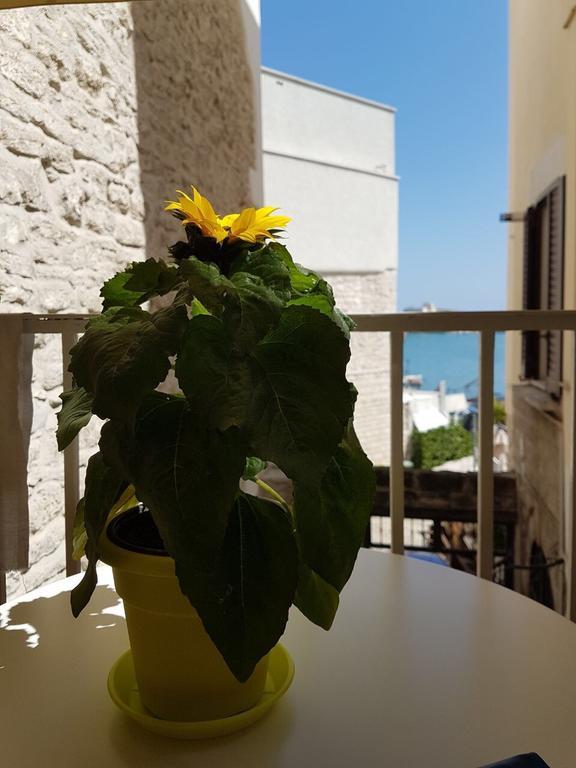 La Banchina Holiday Rooms تراني المظهر الخارجي الصورة